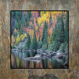 Images on Slate
