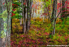 Along the Jessup Path