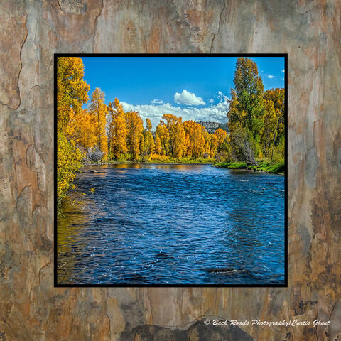 Fall on the Colorado