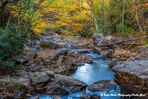 Glade Creek Fall