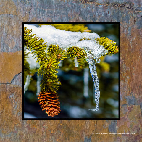 Pine Cone & Icicle