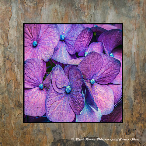 Purple& Blue Abstract