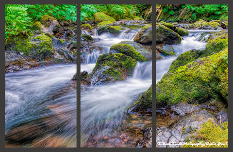 Willably Creek Triptych
