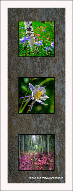 Flower on Slate 2