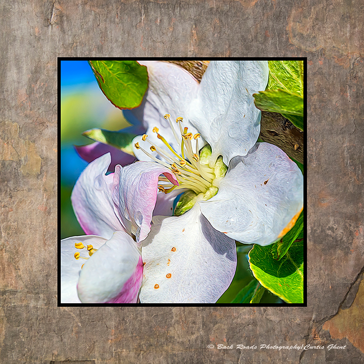 Images are laminated on natural slate with a fade and scratch resistant coating. Natural slate varies in color and texture making...