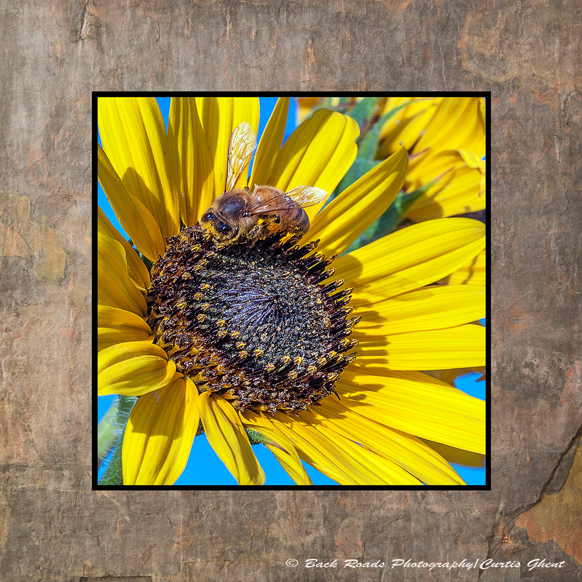 Images are laminated on natural slate with a fade and scratch resistant coating. Natural slate varies in color and texture making...