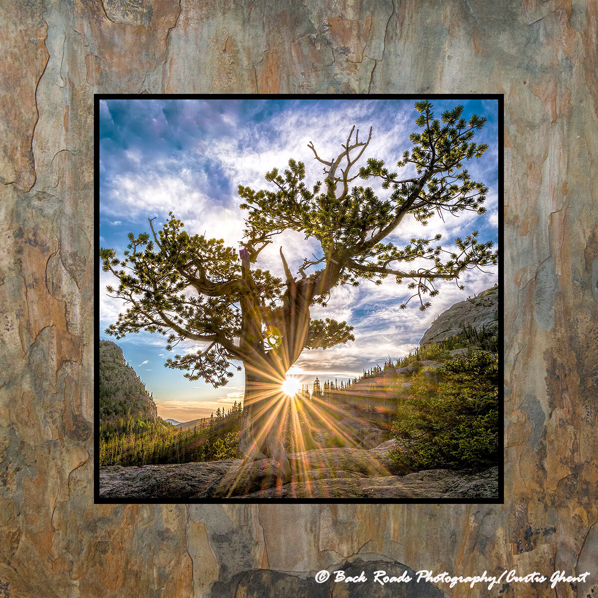 Images are laminated on natural slate with a fade and scratch resistant coating. Natural slate varies in color and texture making...