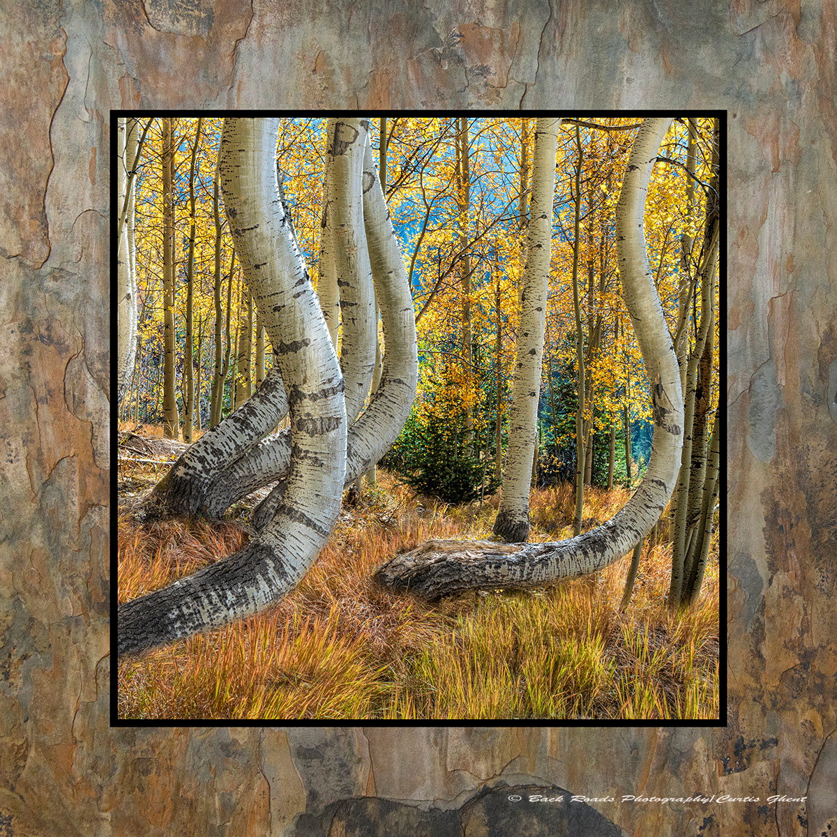 Images are laminated on natural slate with a fade and scratch resistant coating. Natural slate varies in color and texture making...