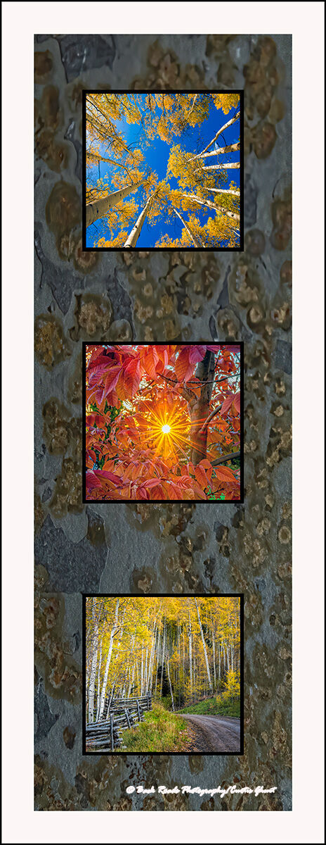 Images are laminated on natural slate with a fade and scratch resistant coating. Natural slate varies in color and texture making...