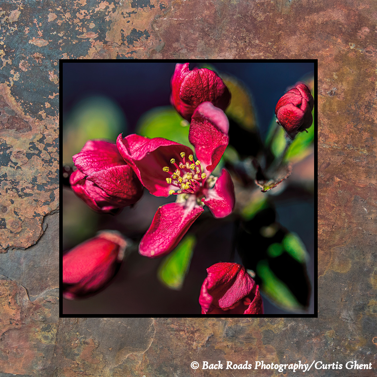 Images are laminated on natural slate with a fade and scratch resistant coating. Natural slate varies in color and texture making...