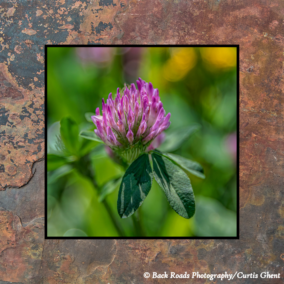 Images are laminated on natural slate with a fade and scratch resistant coating. Natural slate varies in color and texture making...