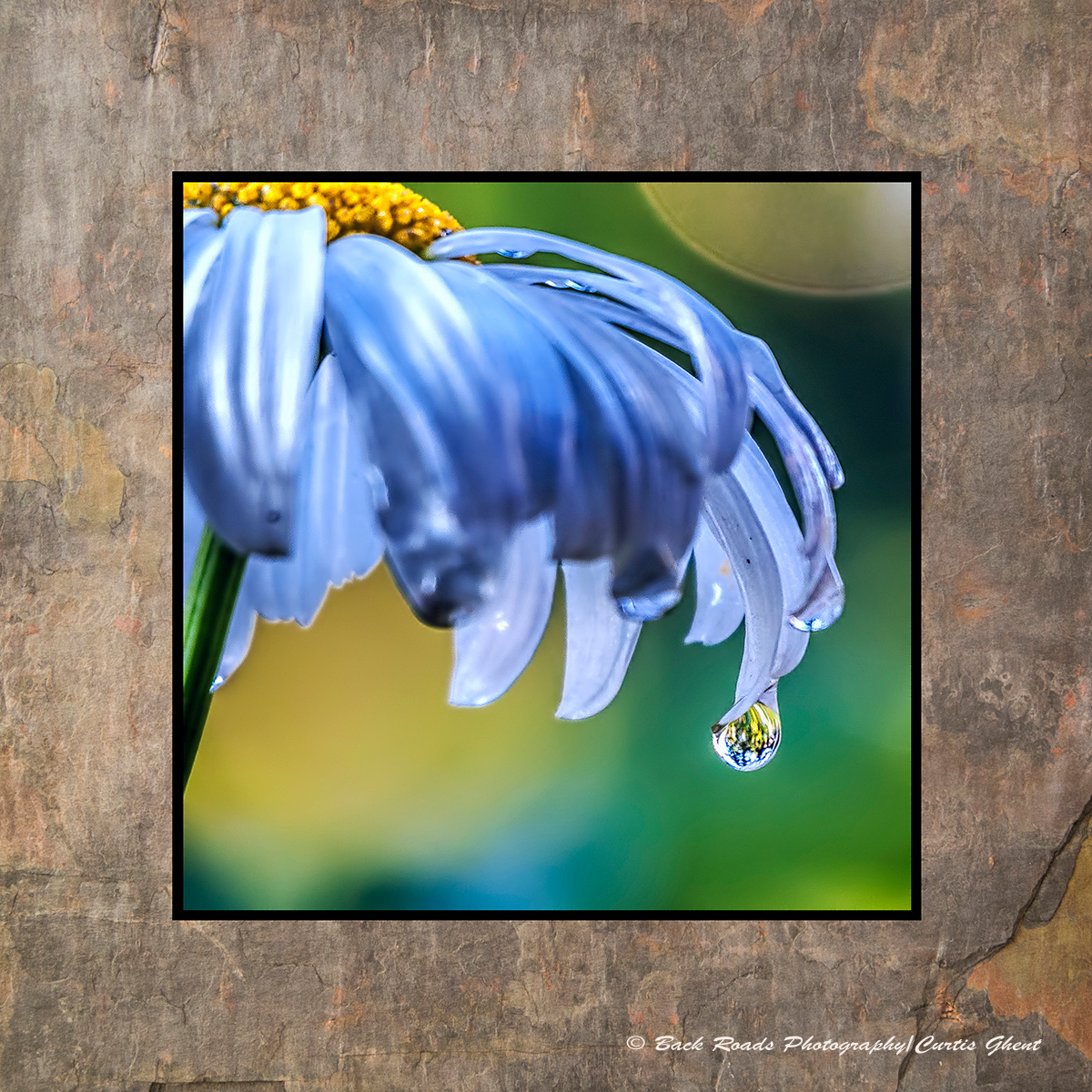 Images are laminated on natural slate with a fade and scratch resistant coating. Natural slate varies in color and texture making...