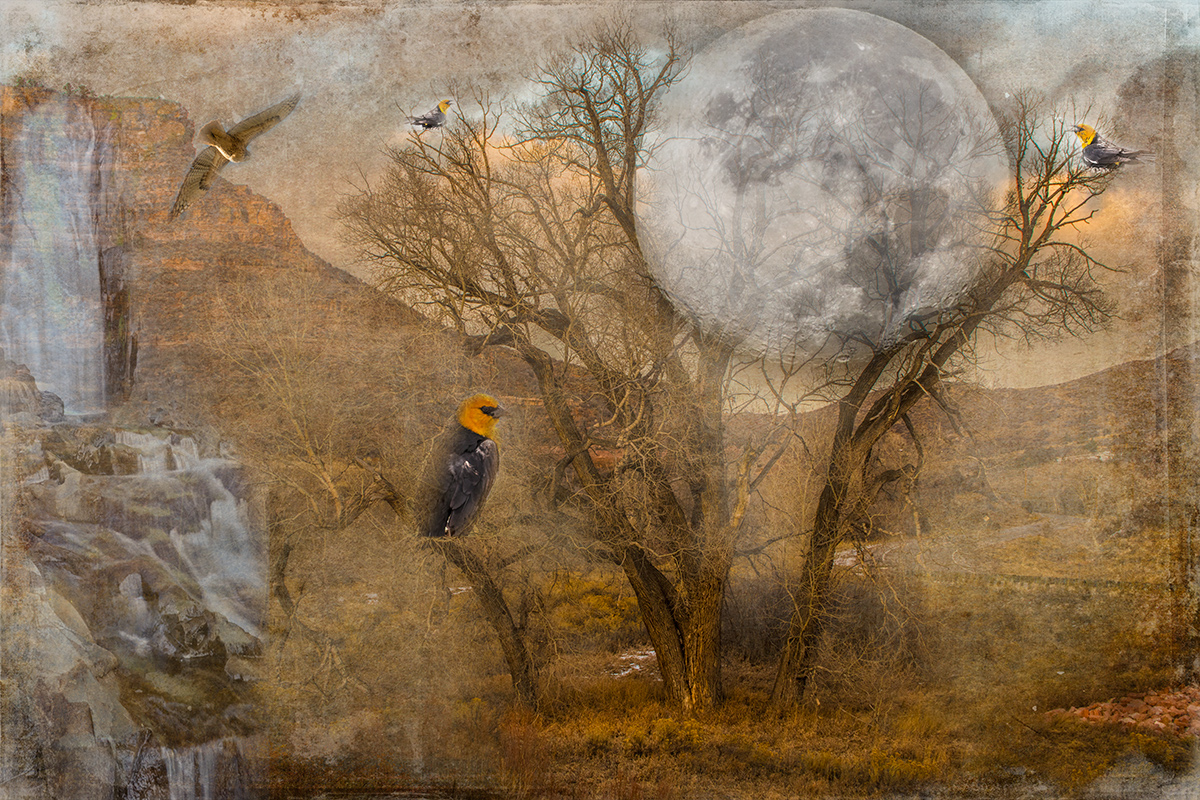 This image is a combination of 10 different images and blended together to create an abstract image.