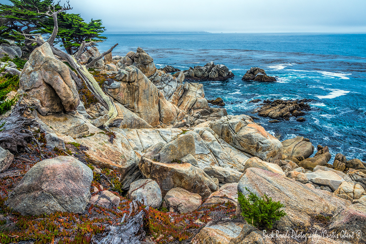 Just north of Carmel by the Sea is 17 mile drive which also skirts famed Pebble Beach.