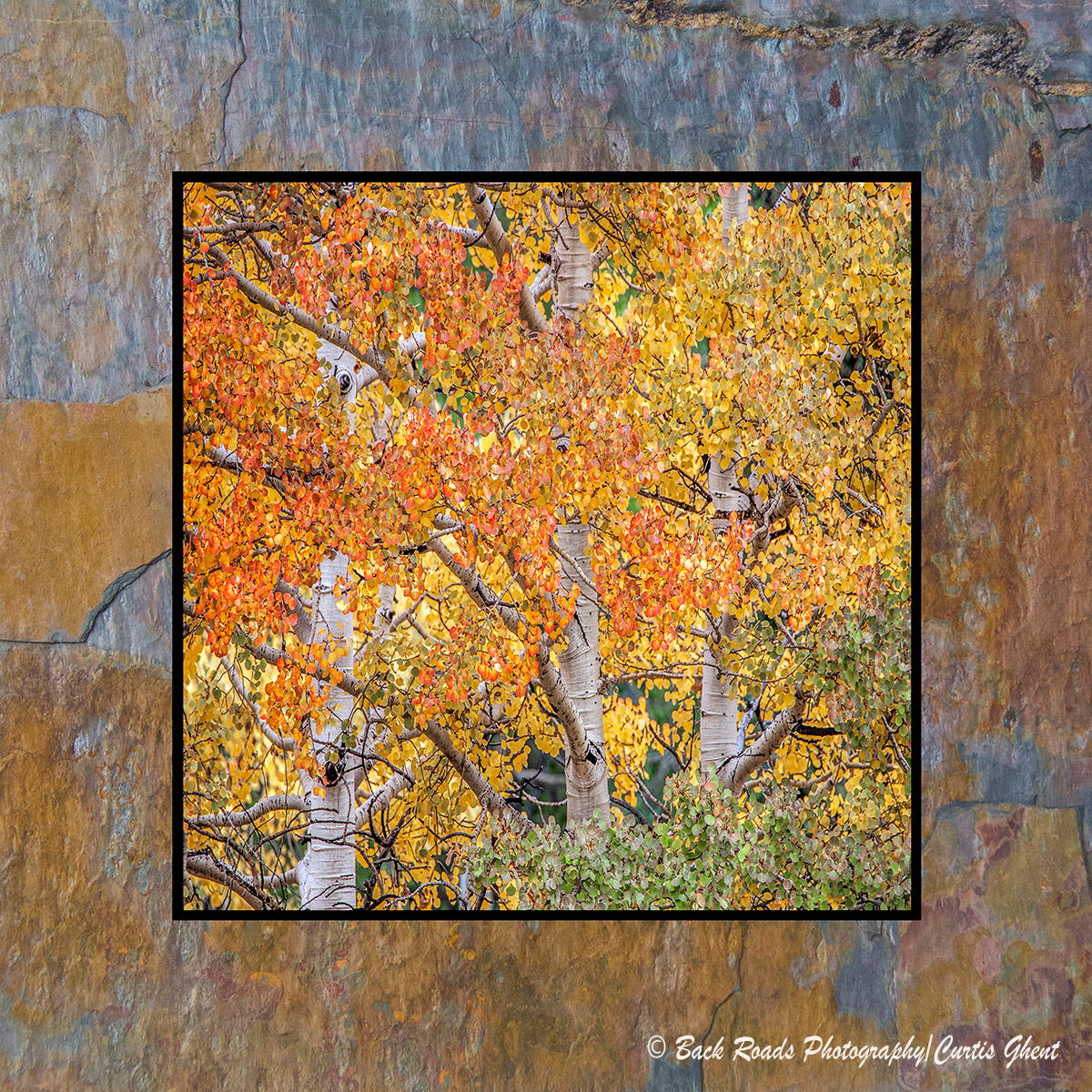 Images are laminated on natural slate with a fade and scratch resistant coating. Natural slate varies in color and texture making...