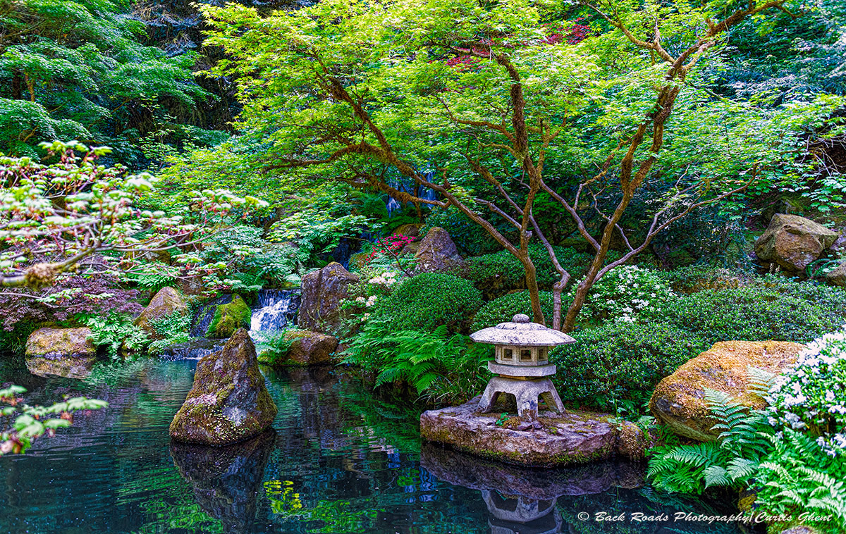 The calm and tranquility one feels while in the gardens is beyond words.