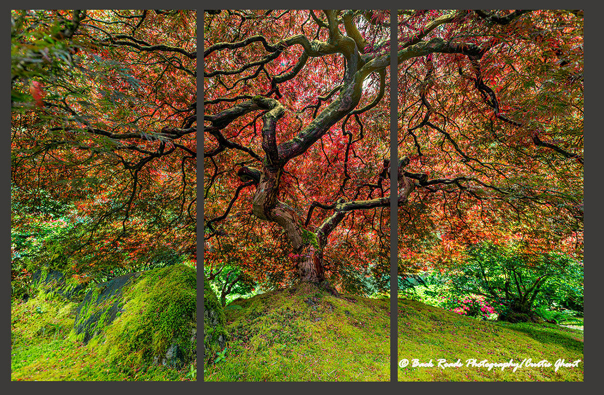 Tree of Knowledge Triptych