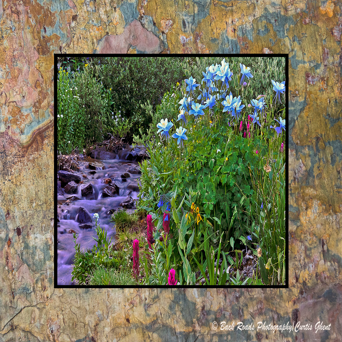 Images are laminated on natural slate with a fade and scratch resistant coating. Natural slate varies in color and texture making...